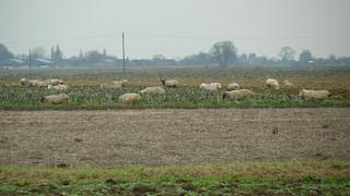 &nbsp;Select this image to see a larger version. 