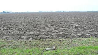 &nbsp;Select this image to see a larger version. 