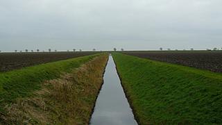 &nbsp;Select this image to see a larger version. 