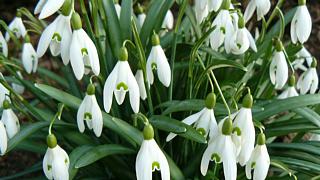 &nbsp;Select this image to see a larger version. 