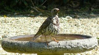 &nbsp;Select this image to see a larger version. 