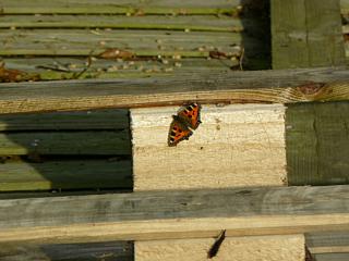 &nbsp;Select this image to see a larger version. 