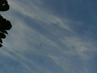 &nbsp;Select this image to see a larger version. 