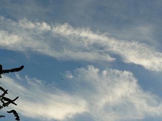 &nbsp;Select this image to see a larger version. 