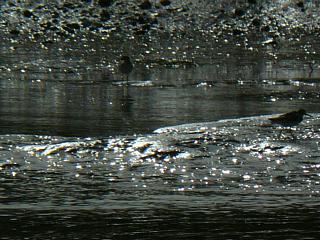 &nbsp;Select this image to see a larger version. 