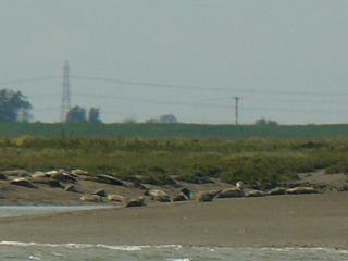 &nbsp;Select this image to see a larger version. 