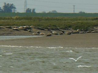 &nbsp;Select this image to see a larger version. 