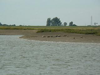 &nbsp;Select this image to see a larger version. 