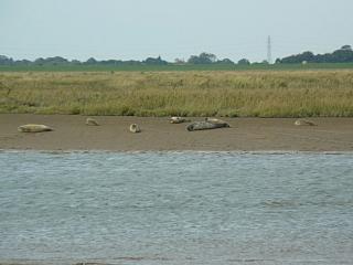 &nbsp;Select this image to see a larger version. 