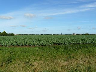 &nbsp;Select this image to see a larger version. 