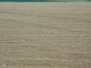 &nbsp;Select this image to see a larger version. 