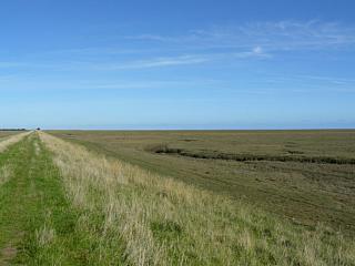 &nbsp;Select this image to see a larger version. 