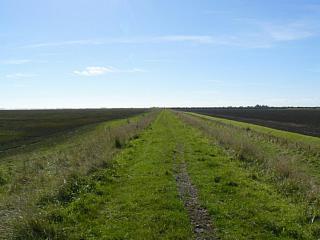 &nbsp;Select this image to see a larger version. 