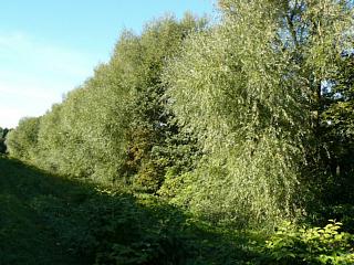 &nbsp;Select this image to see a larger version. 