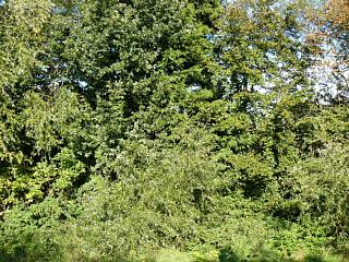 &nbsp;Select this image to see a larger version. 