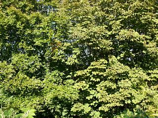 &nbsp;Select this image to see a larger version. 