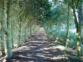 &nbsp;Select this image to see a larger version. 