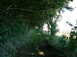 &nbsp;Select this image to see a larger version. 