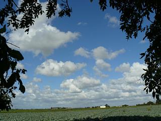 &nbsp;Select this image to see a larger version. 