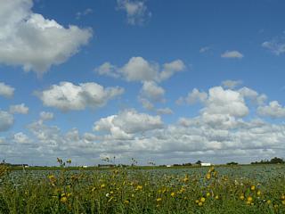 &nbsp;Select this image to see a larger version. 