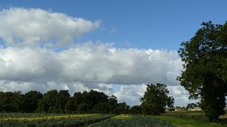 &nbsp;Select this image to see a larger version. 