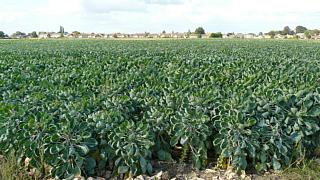 &nbsp;Select this image to see a larger version. 