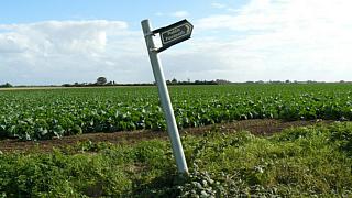 &nbsp;Select this image to see a larger version. 