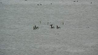 &nbsp;Select this image to see a larger version. 