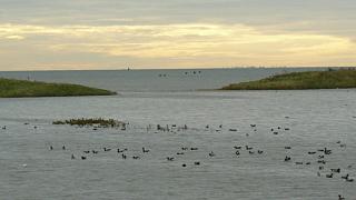 &nbsp;Select this image to see a larger version. 