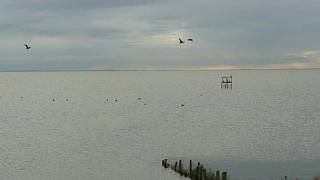 &nbsp;Select this image to see a larger version. 