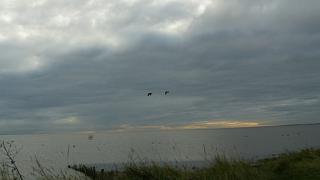 &nbsp;Select this image to see a larger version. 