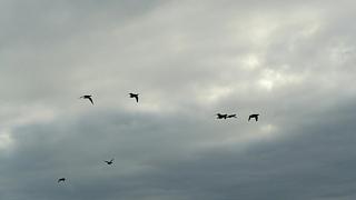 &nbsp;Select this image to see a larger version. 