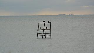 &nbsp;Select this image to see a larger version. 