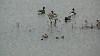 &nbsp;Select this image to see a larger version. 