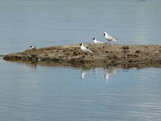 &nbsp;Select this image to see a larger version. 