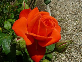 &nbsp;Select this image to see a larger version. 