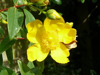 &nbsp;Select this image to see a larger version. 