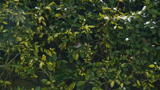 &nbsp;Select this image to see a larger version. 