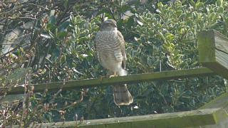 &nbsp;Select this image to see a larger version. 