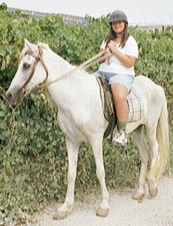 &nbsp;Select this image to see a larger version. 