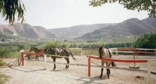 &nbsp;Select this image to see a larger version. 