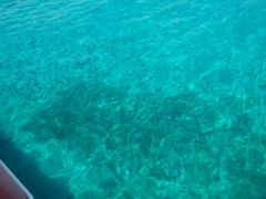 &nbsp;Select this image to see a larger version. 