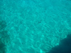 &nbsp;Select this image to see a larger version. 