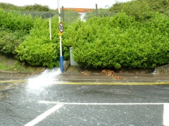 &nbsp;Select this image to see a larger version. 