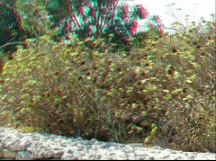 &nbsp;Select this image to see a larger version. 