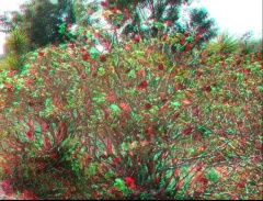 &nbsp;Select this image to see a larger version. 