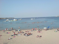 &nbsp;Select this image to see a larger version. 