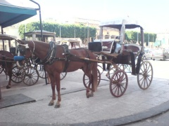 &nbsp;Select this image to see a larger version. 