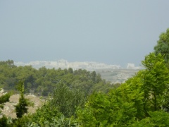 &nbsp;Select this image to see a larger version. 