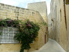 &nbsp;Select this image to see a larger version. 